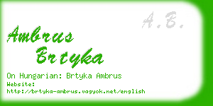 ambrus brtyka business card